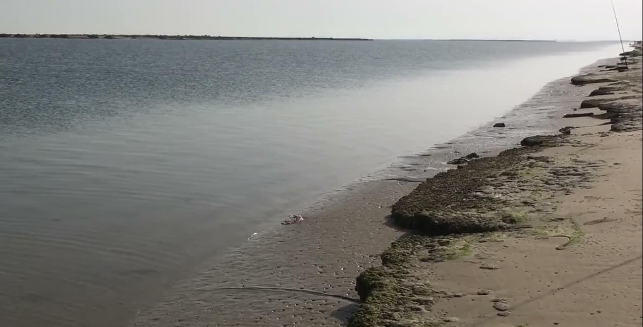 Al Aryam Island