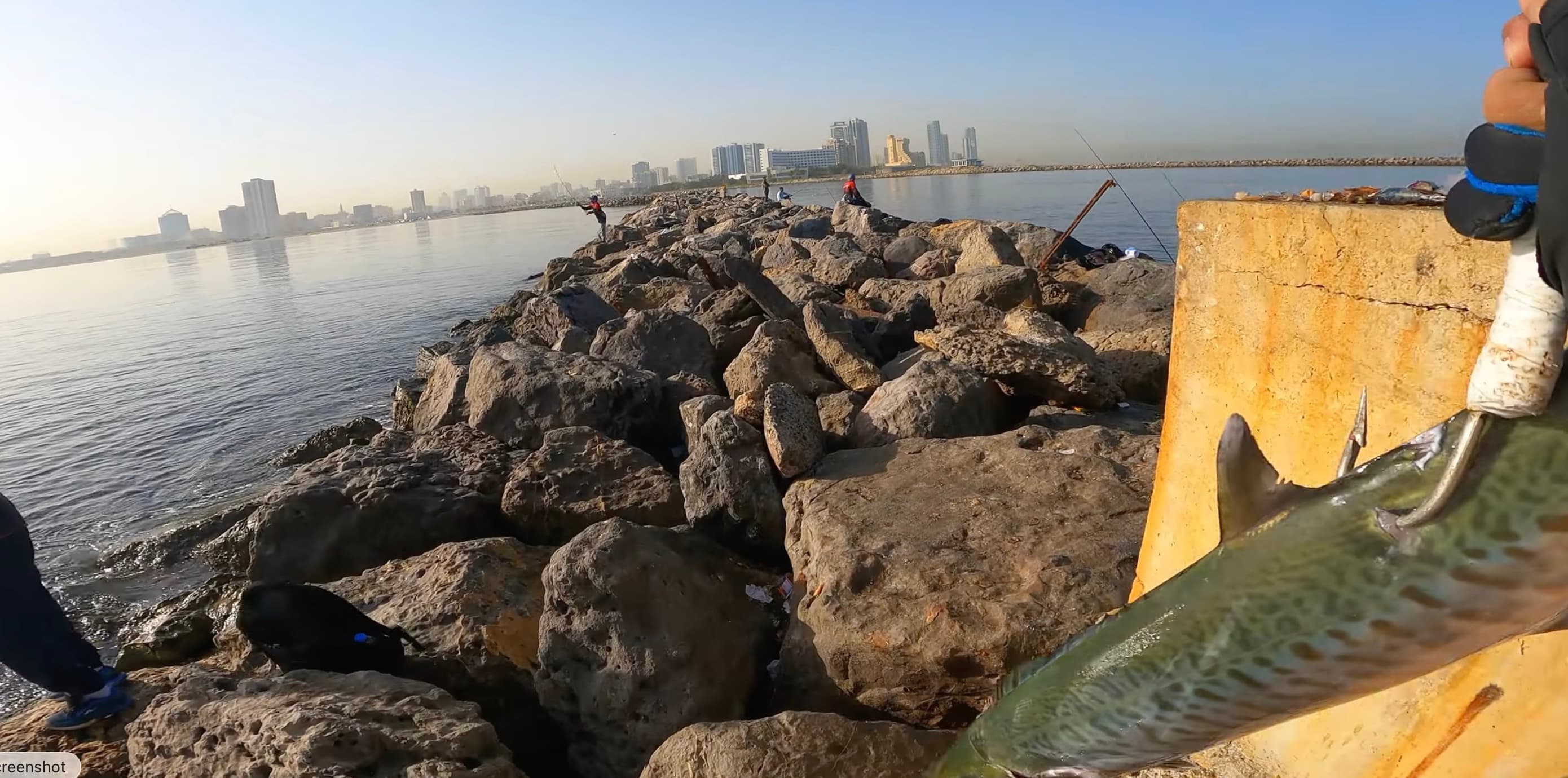 Al Zorah Nature Reserve