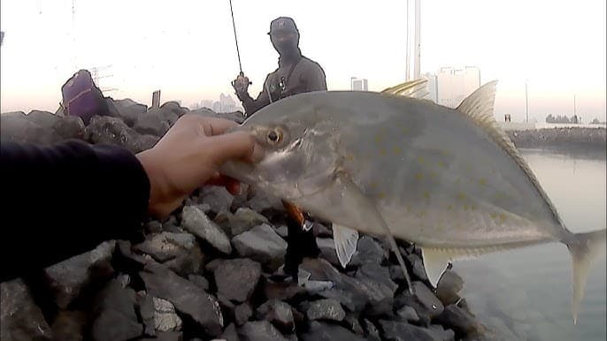 Mina Breakwater